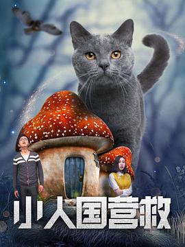 暗中窥视