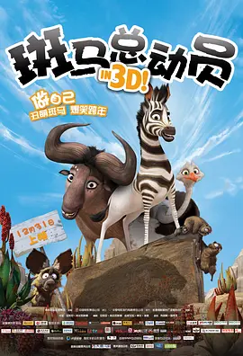 欧美91大片