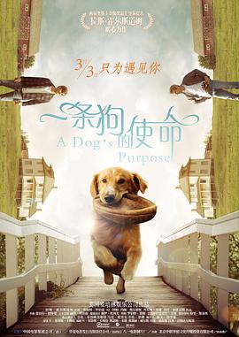亚洲精品三区