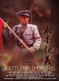 精品久久久久久综合网