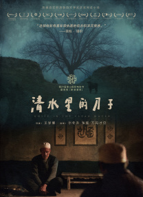 年轻的女性主导1